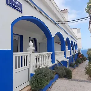 Palmeras , Los Realejos España